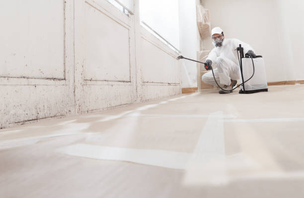 24/7 Emergency Mold Removal experts in Norwood, NJ